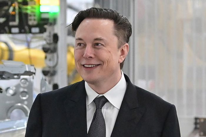 Elon Musk now owns Twitter.Patrick Pleul/AP