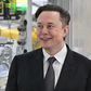 Elon Musk now owns Twitter.Patrick Pleul/AP