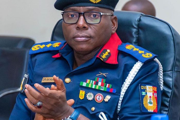 Commandant-General-NSCDC-Dr-Ahmed-Abubakar-Audi (Credit: Punch Newspapers)