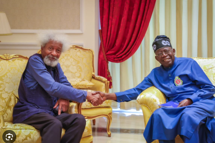 Prof Wole Soyinka and President Bola Tinubu. [Punch]