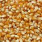 Ukraine is one of the world's major producers and exporters of grain, particularly wheat and maize, and its grain exports are essential for meeting the food demands of many countries around the world [Unsplash]