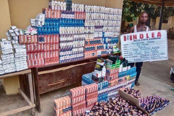 Illicit drugs seized by the NDLEA operatives.