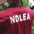 NDLEA officer (image used for illustration) [Vanguard]