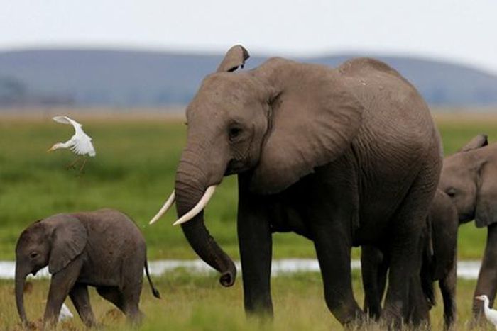 WhatsApp Image 2023-05-19 at 145933