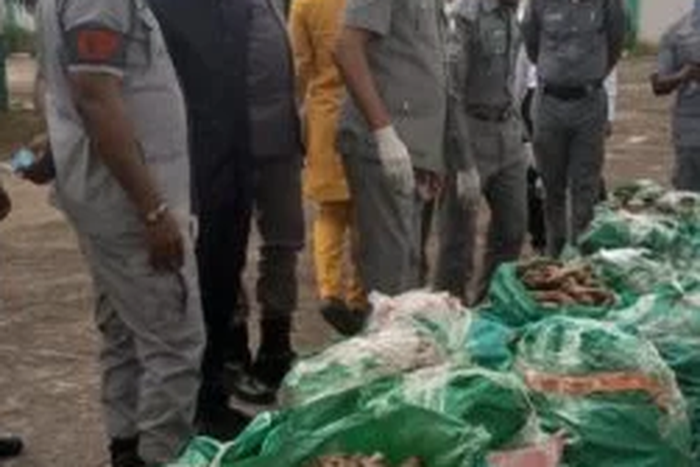 Comptroller Muhammed Yusuf of MMAC showcasing the donkey genitals