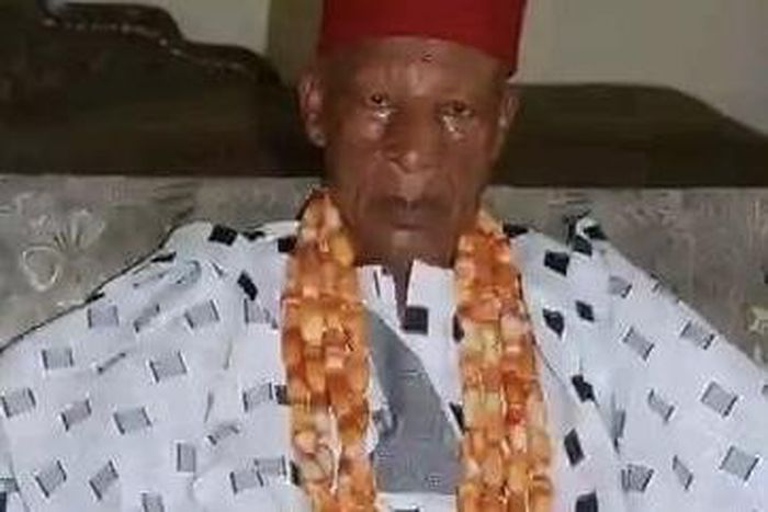 His Royal Majesty, Joseph Davies-Agba [NAN]