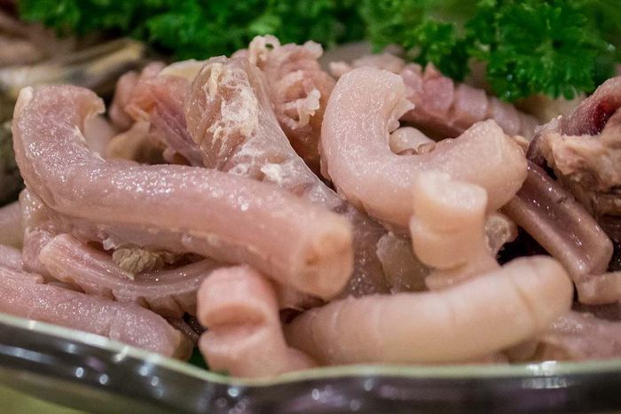 Penis at a Chinese restaurant [timetravelturtle]