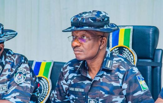 Acting Inspector-General of Police (IGP), Olukayode Egbetokun [NPF]