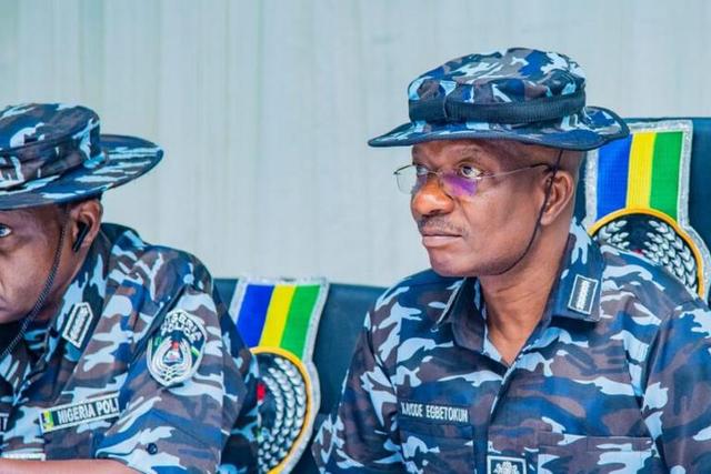 Acting Inspector-General of Police (IGP), Olukayode Egbetokun [NPF]