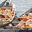Jerrycans, boats used in syphoning petrol [Platform Times]