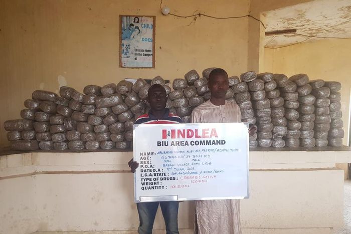 Illicit drugs seized from suspects. [Facebook:NDLEA]