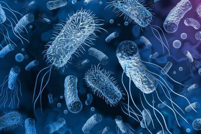 Cholera (Credit: Smile 90.4FM)