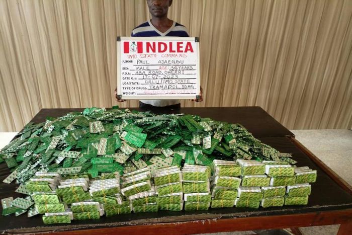 Illicit drugs intercepted by NDLEA operatives. [NDLEA]