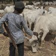 There have been longstanding tensions between herdsmen and farmers in parts of Nigeria