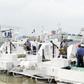 Nigerian Navy boats
