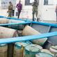 Navy seizes boat engaged in illegal bunkering. [NAN]