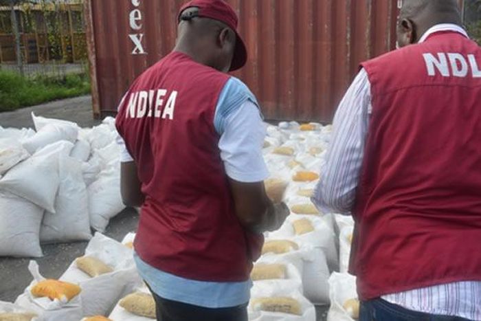 NDLEA raids 30 black spots, arrests 39 hard drug suspects in Abia