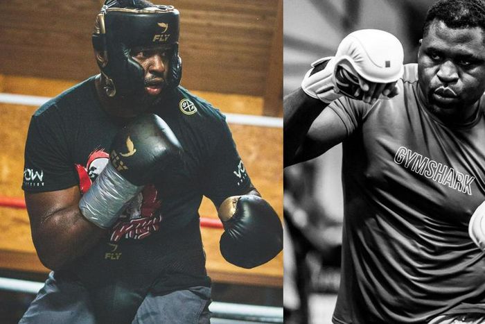 Dillian Whyte is ready to fight  Francis Ngannou in the ring and in the cage.