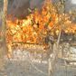Drugs burnt by NDLEA officials in Edo forest (NAN)