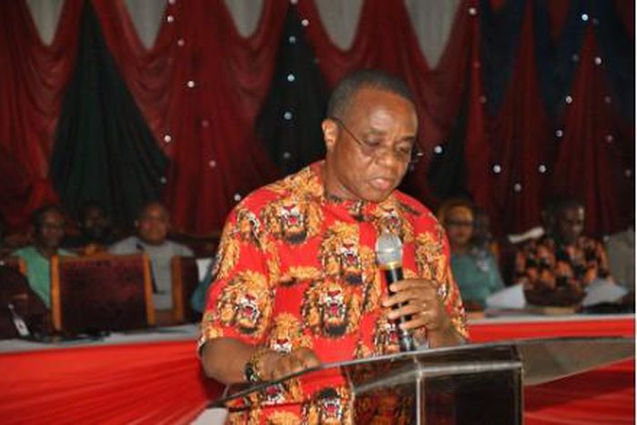 Abia State Peoples Democratic Party governorship candidate, Prof Uche Ikonne. (Punch)