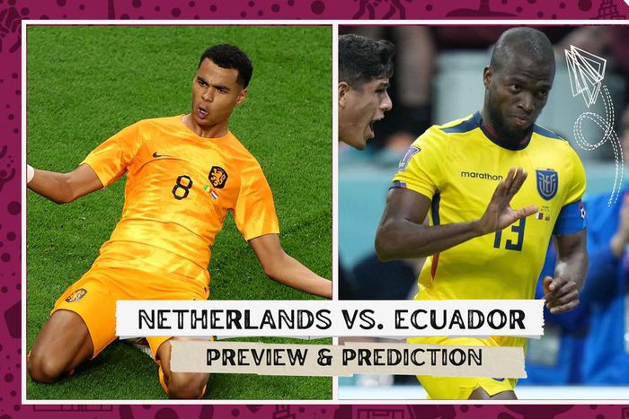 Netherslands and Ecuador are ready to battle each other in Group A.