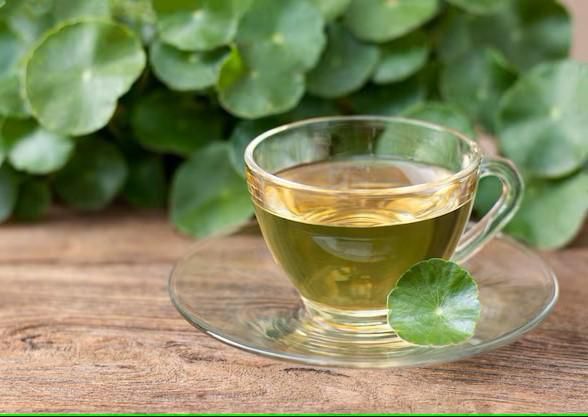 Gotu kola tea [Freepik]