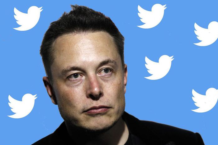 Elon Musk is laying off thousands of Twitter workers.Dave Smith/Business Insider