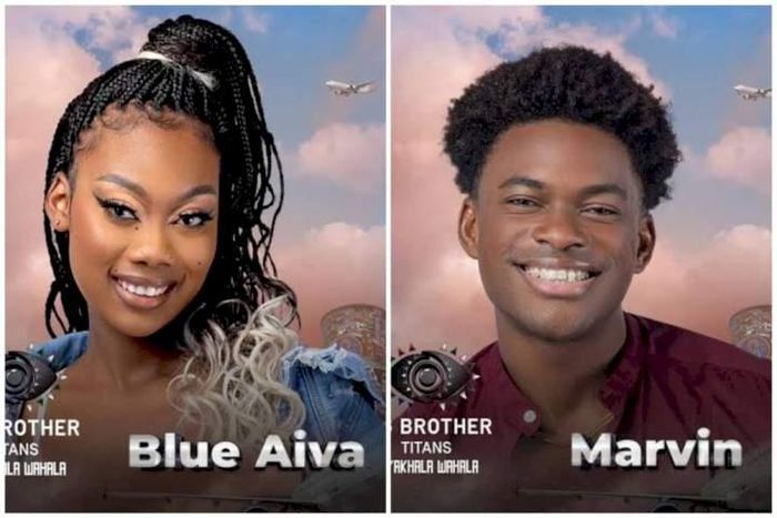 Blue Aiva x Mavin