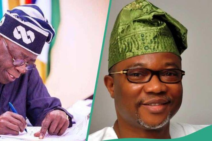 President Tinubu and Fola Adeola [Legit.ng]