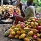 ___8937295___2018___10___4___15___cocoa-farming-processing-business-plan-in-nigeria