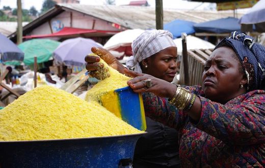 Garri seller in the market (image used for illustrative purpose) [Business Elites Africa]