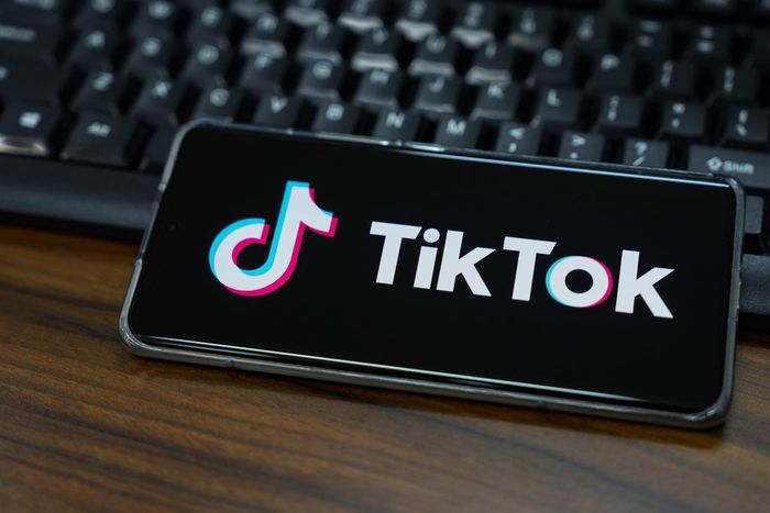 Illustration of TikTok logo displayed on the screen of a smartphone.Getty Images