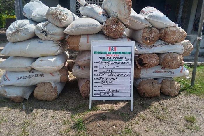 NDLEA seizes 4.8 tonnes of skunk in 5 states  [Facebook:NDLEA]
