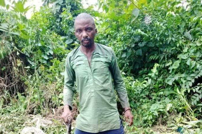 Father starves children to death after accusing them of theft