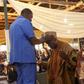 RCCG pastor Olaoye destined to be Soun of Ogbomoso - Adeboye