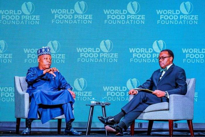 President of AfDB, Dr Akinwumi Adesina with Vice President Kashim Shettima. [Presidency]