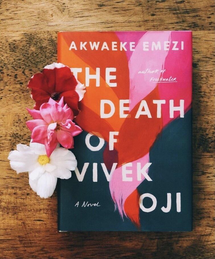 The Death of Vivek Oji