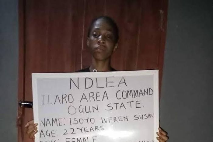 NDLEA arrests Ogun poly student, others with illicit drugs