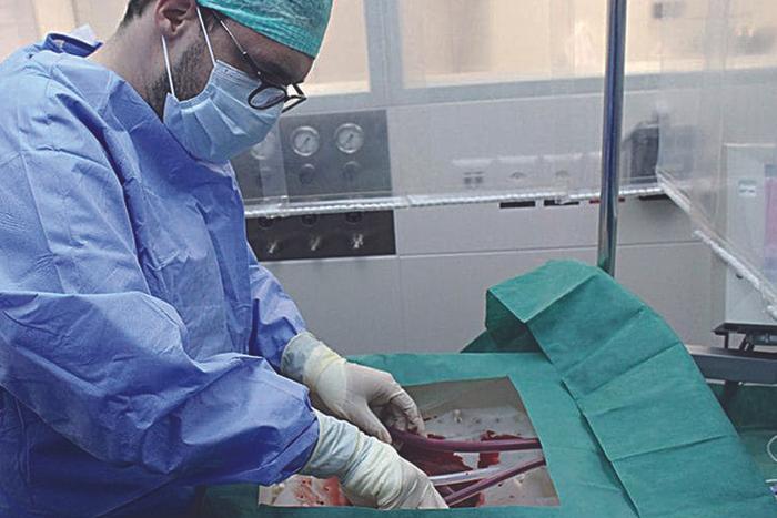 Organ donors (Guardian)