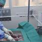 Organ donors (Guardian)