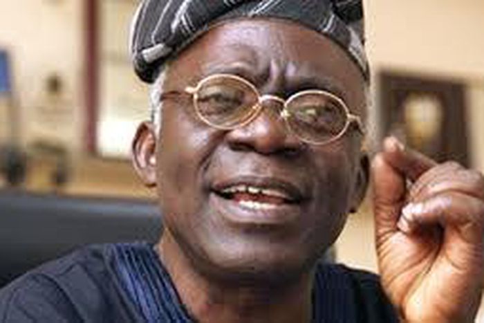 Femi Falana