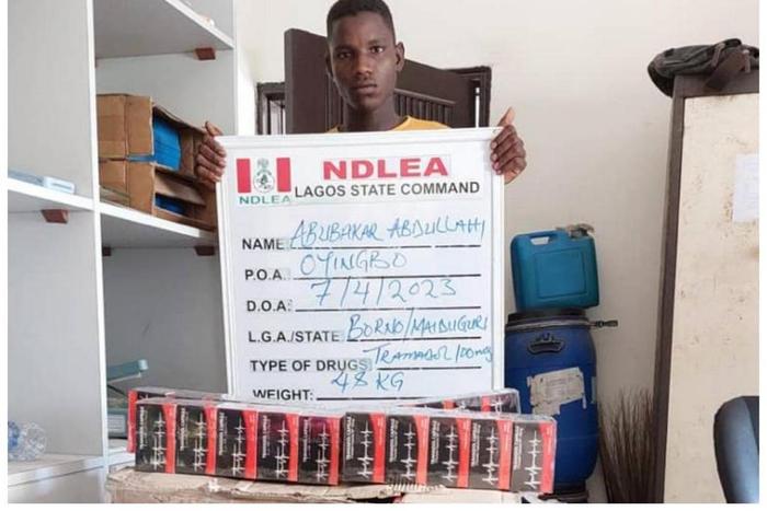 Drugs intercepted by NDLEA operatives.