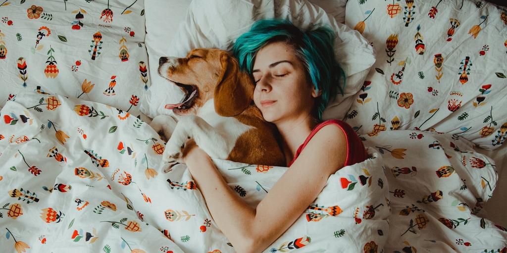 Cuddling a pet is one of the best ways to abate touch starvation.Ghetea Florin / EyeEm /Getty Images