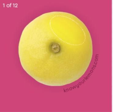 lump. knowyourlemons.com