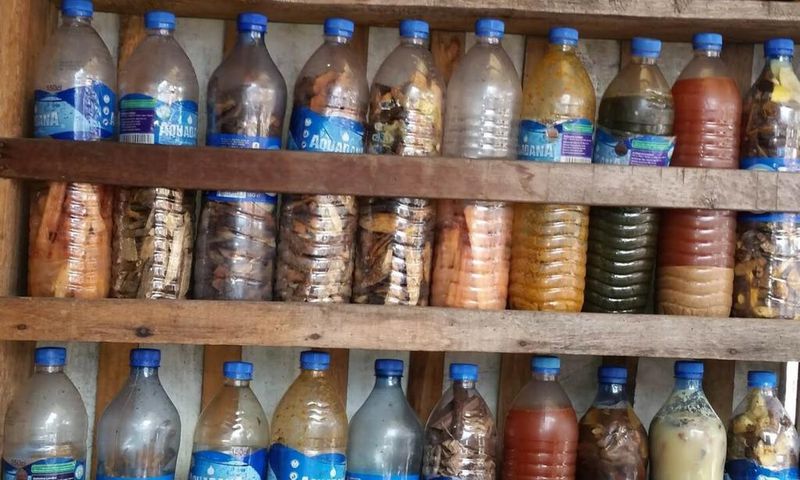 Herbal concoctions, Agbo [Peoples Gazette]