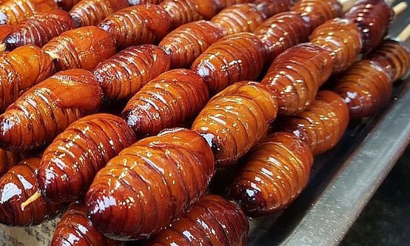 sago-worms