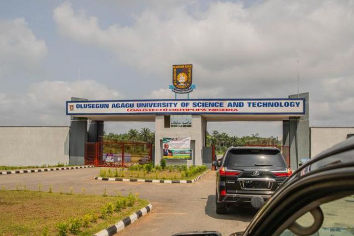 Ondo university gets NUC approval for nursing, geology programmes.