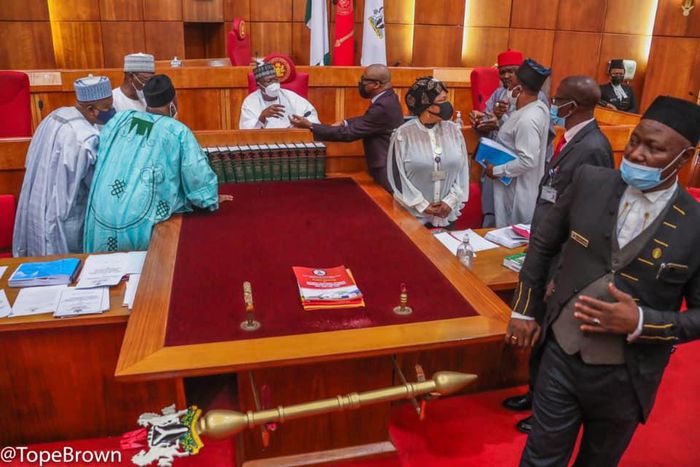 Nigerian senators [Tope Brown]