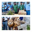 Customs intercepts 105 wild birds worth ₦24m in Badagry. [Twitter:@CustomsNG]