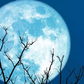 A super blue moon [Timesofindia]